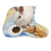 applerabbit!