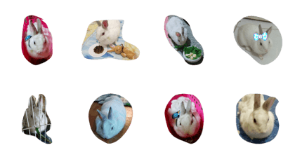 applerabbit!