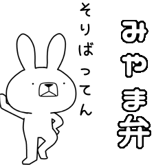 BIG Dialect rabbit[miyama]