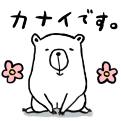 Kanai's henyo bear