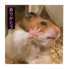 Yuka_20210908191244
