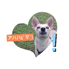 tomomi_20210910164436