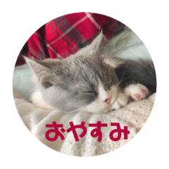 Hana_20210908214339