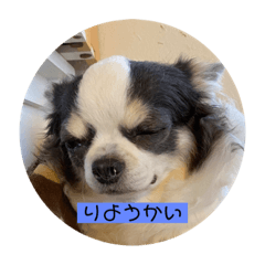 Chibi_20210908214631