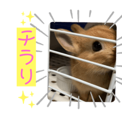 Natsumi_20210908222351