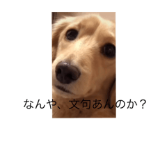 kari_20210908224110