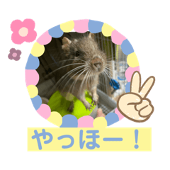 Nozomi_20210910184955