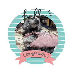 himawari_20210908234406