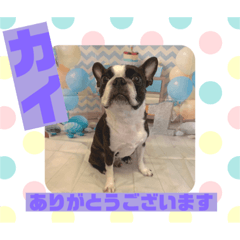 HappyBathPepのお友達D