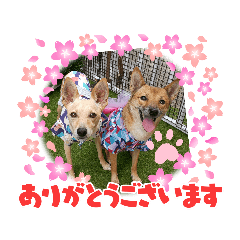 tomomi_20210910175756