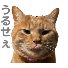 chihiro_20210910201547