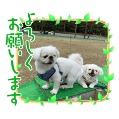 yukari_20210910205926