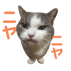 akiko_20210911091849