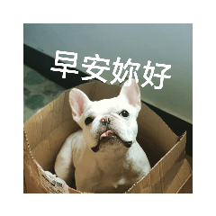 鬥鬥的生活