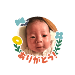 chippo-chan