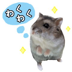 Hamster Chibi 2