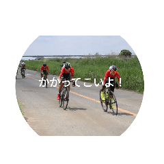 埼玉自転車乗り