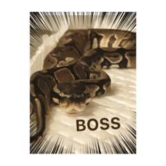 Asuka_20210911122137