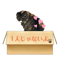 Cheer up: Japanese