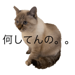c_20210909121452