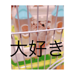 TONO_20210909163023