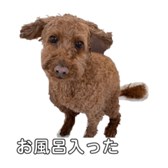 Ayumi_20210911124926