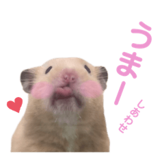 ちくわDays 2nd - LINE スタンプ | LINE STORE