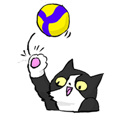 volleyball cats2