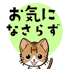 Iwanyan(cute cat)