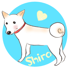 shiro--sticker