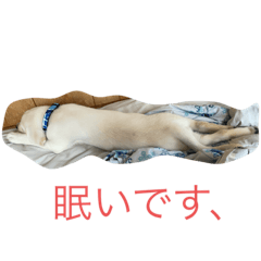 Tori_20210909174422