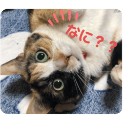 yu_tisu_20210910191046