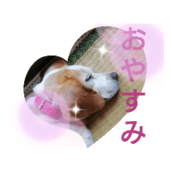 rei_20210911195909