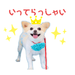 risa_20210911120844