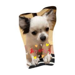 Kuu_20210911115723