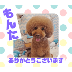 HappyBathPepのお友達E