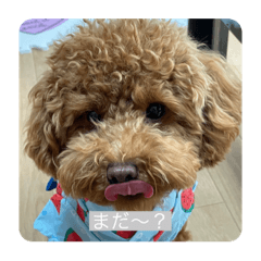 arisa_20210909171812