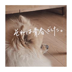 saya_20210909134710
