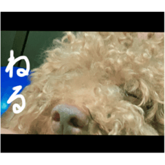 mizuki_20210909181246