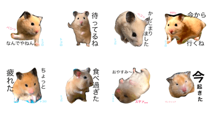 HAMU LIFE