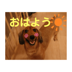 natsumi_20210911223119