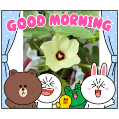 ringo_20210911223822