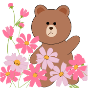 A lot of seasonal flowers Brown