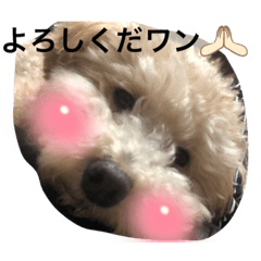 asuka_20210912065753