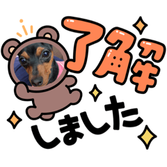 Arisa_20210912101458