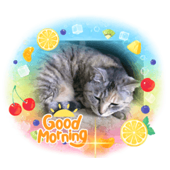 ryuki_20210912101500