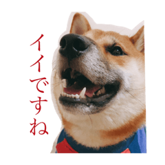 hana_20210910200733
