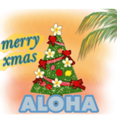 Hawaii Christmas 2