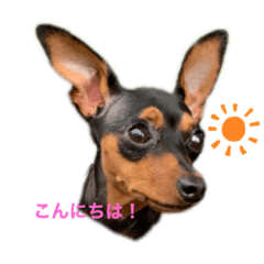 Arisa_20210912120540