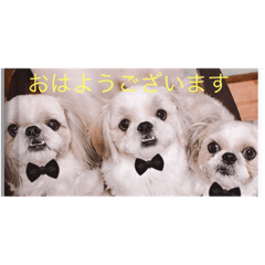 miki_20210912123542